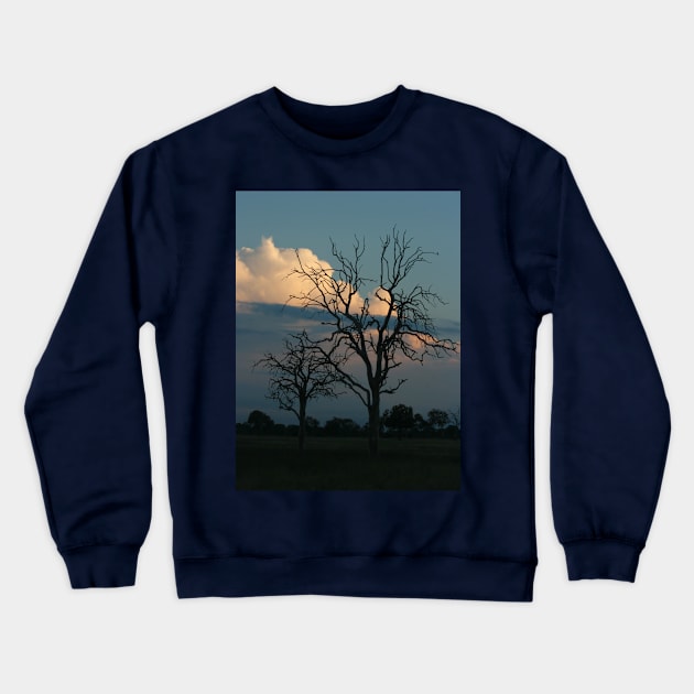 African Trees Nightfall Crewneck Sweatshirt by KarenZukArt